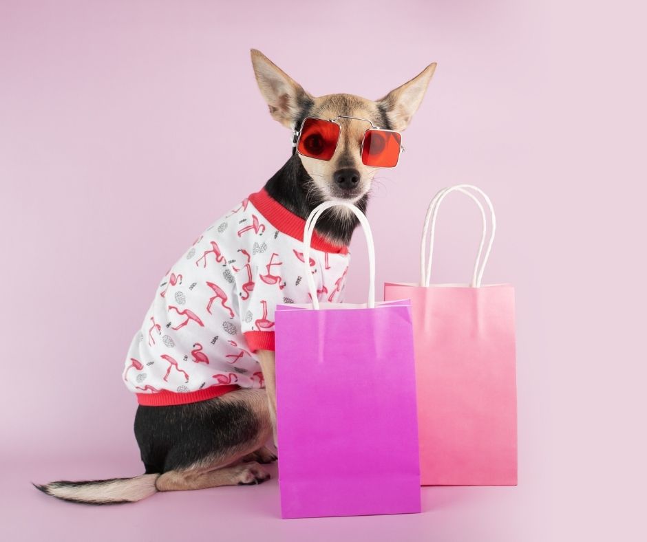 dog-clothing
