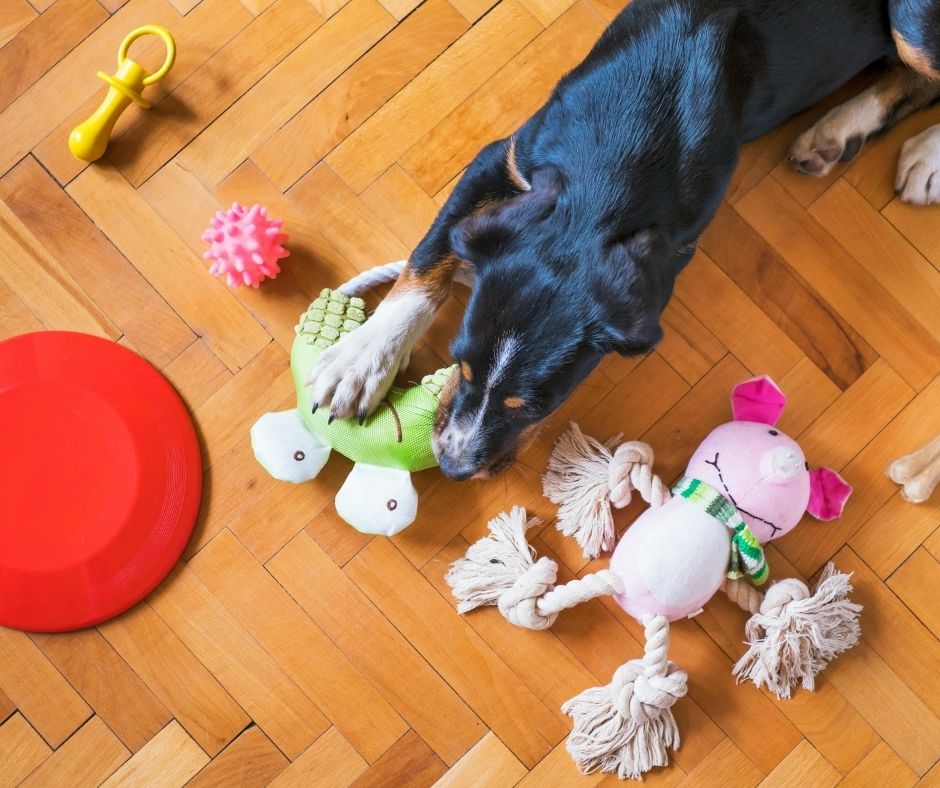 dog-toys