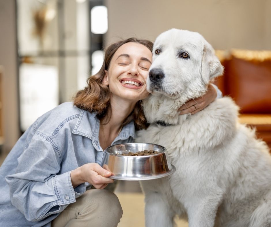 dog-food